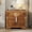 Light Brown, variant on Christopher Knight Home Mid-Century Modern Nightstand with 2 Drawers, Wood Frame Bedside Table, Black