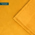 thumbnail image 3 of PAVILIA Fleece Blanket Throw | Super Soft, Plush, Luxury Flannel Throw | Lightweight Microfiber Blanket for Sofa Couch Bed, 3 of 7
