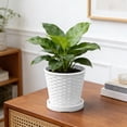 thumbnail image 4 of Aufmer Pot de Fleurs Rond en Plastique Imitation Bambou à Texture Tissée Style Naturel Apparence Lisse Paroi Extérieure pour Maison Bureau Intérieur Plante en Pot Verte Déco Culture, 4 of 6