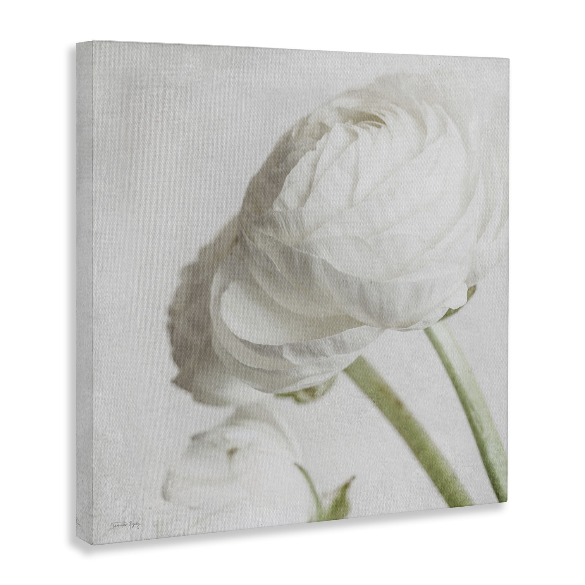 Stupell Industries Charming White Peony Botanical & Floral Painting Gallery Wrapped Canvas Art Print Wall Art, 24 x 24