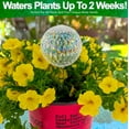thumbnail image 4 of Aqua Glass Plant Watering Iridescent Ball Globes - Automatic Self Watering Drip Irrigation Ideal for Vacation Plant Care, Indoor/Outdoor Potted Flowers, Herbs, Houseplants - 10" 6-7 oz 4pc Set, 4 of 8