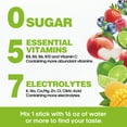 thumbnail image 4 of Venture Pal Sugar Free Electrolyte Powder Packets - Daily Hydration Packets | Electrolytes Drink Mix with 5 Vitamins & 7 Electrolytes | Keto Friendly | Non-GMO | Certified Vegan | 16 Sticks, 4 of 6