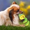 thumbnail image 5 of Interactive Squeaky Dog Toy for Puppies and Small Breed with Durable Tug Rope Design Ideal for Indoor Outdoor Activities, 5 of 5