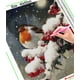 thumbnail image 3 of HOMFUN-pintura de diamante redondo/cuadrado 5D DIY "Árbol de nieve de pájaro de Navidad", bordado de punto de cruz, decoración de diamantes de imitación completa, 3 of 4