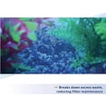 thumbnail image 4 of Aqueon Pure Live Beneficial Bacteria and Enzymes for Aquariums [Aquarium Bio Additives, Aquarium Supplies] 72 count (3 x 24 ct), 4 of 8