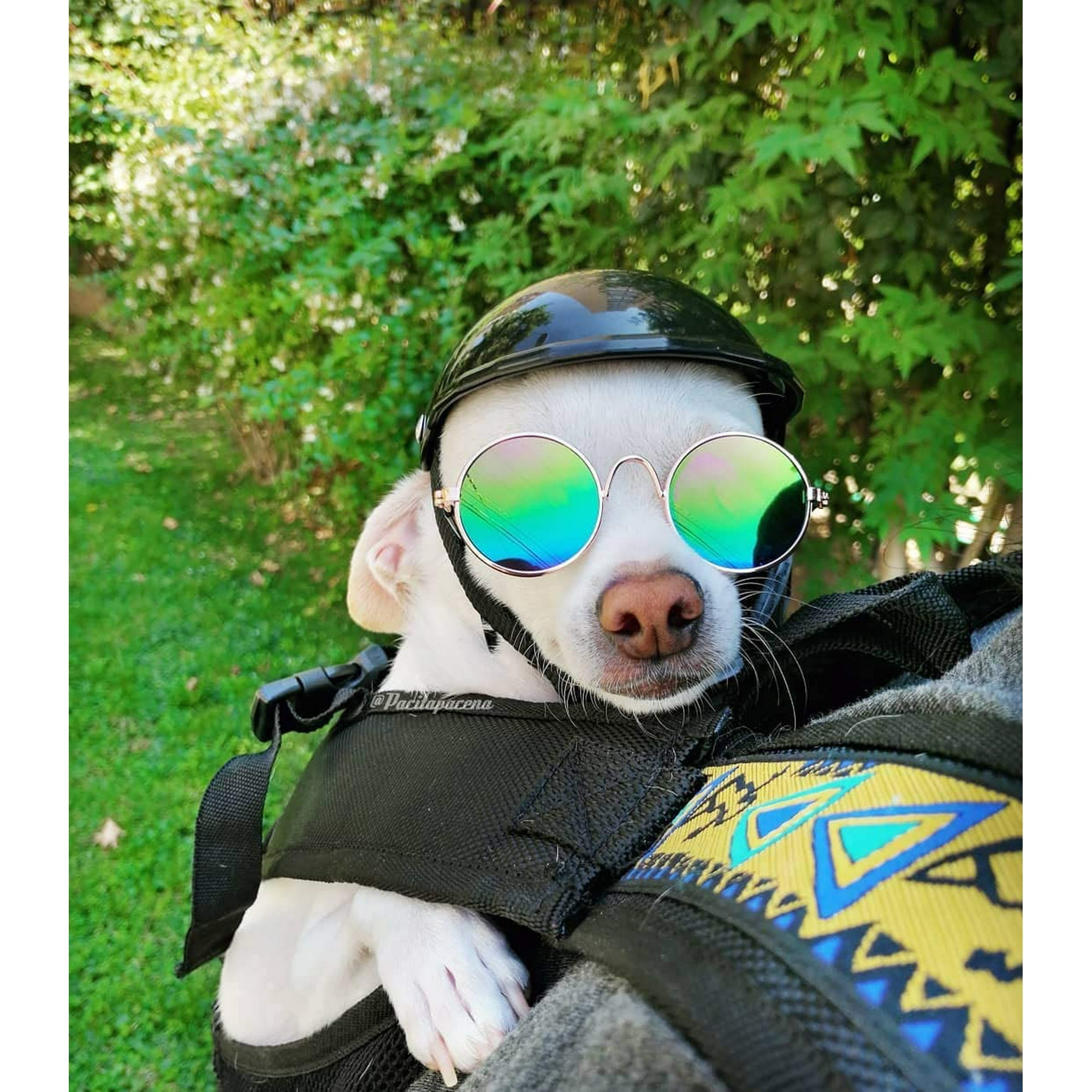 Dog Helmet Pet Motorcycle Helmet Safety Cap for Dog Cat Biking Cycling Dog Helmets for Motorcycles Doggie Hat for Bike M Walmart