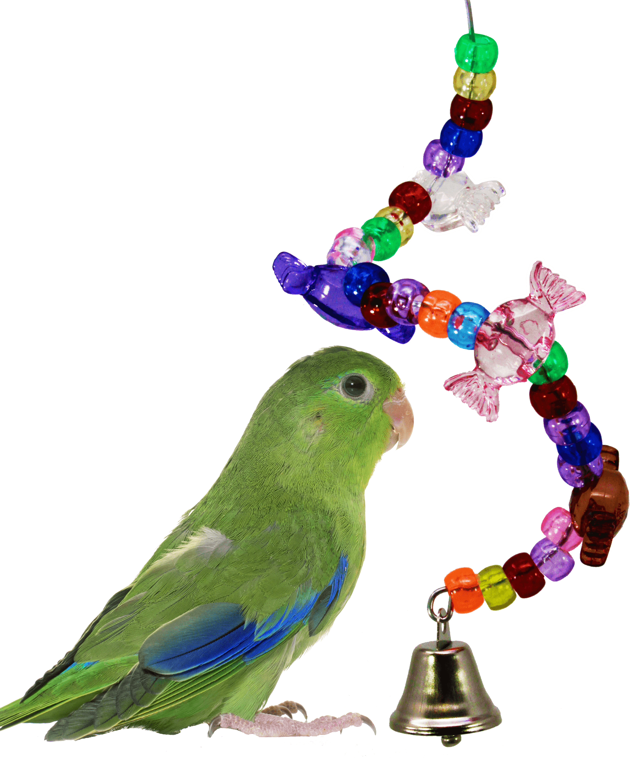 bird toys walmart
