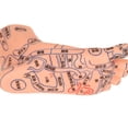 thumbnail image 1 of Feet Acupoint Model,2pcs Human Feet Acupoint Foot Acupuncture Point Model Acupuncture Foot Model Proven Performance, 1 of 7