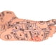 thumbnail image 2 of Modelo de pie de acupuntura Ticfox 2 piezas PVC, 2 of 12