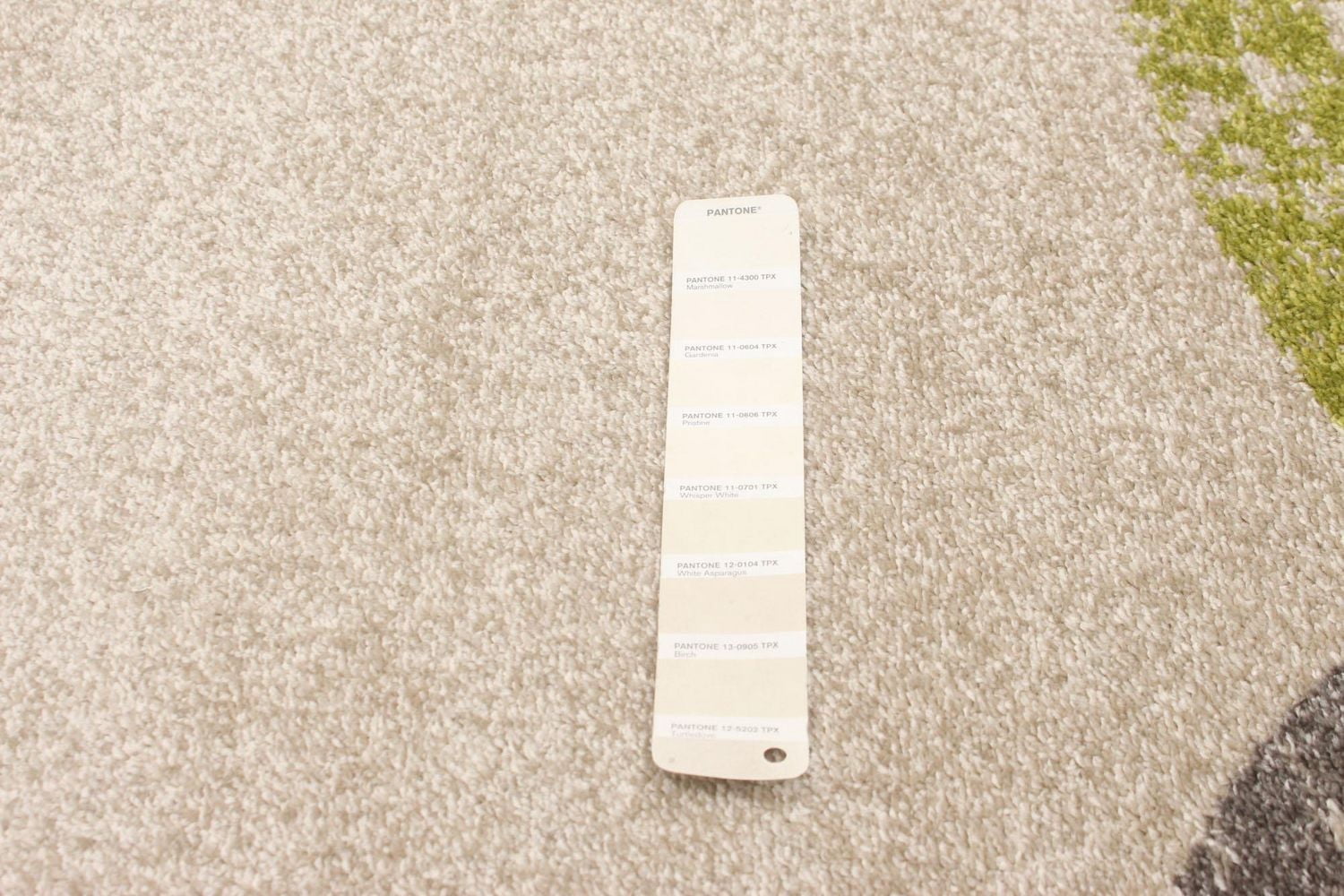 ECARPET Area Rug for Dining Room, Living Bedroom Bellagio Collection