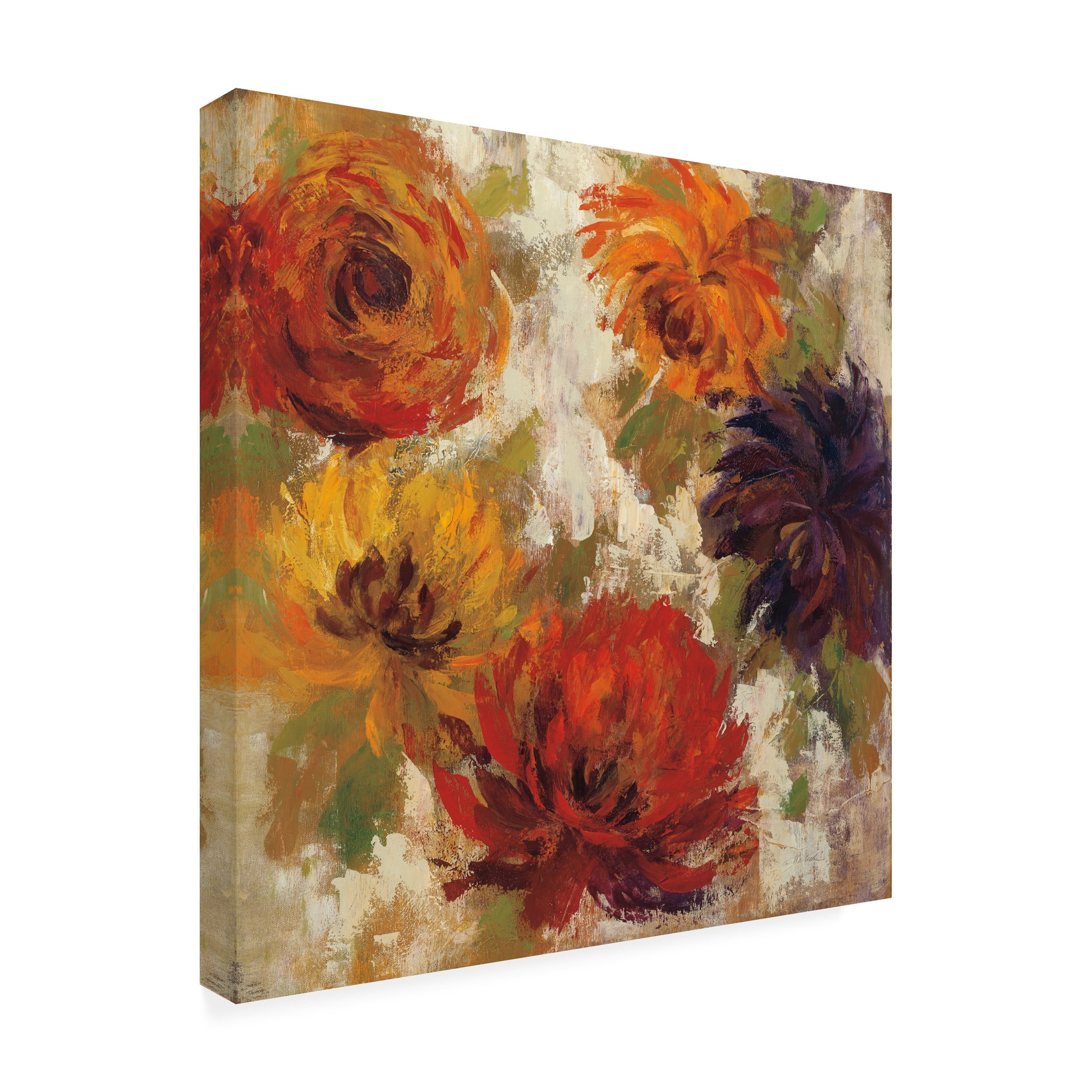 Trademark Fine Art 'Fiery Dahlias II' Canvas Art by Silvia Vassileva
