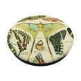 thumbnail image 2 of Adhesivo PopSockets PopGrip, lindos insectos, ilustraciones científicas, 2 of 6