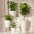 thumbnail image 3 of 10 Inch Hanging Planters for Indoor Plants, Outdoor Garden Planter Pots, White, Honeycomb, Set of 2, 3 of 12