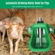 thumbnail image 5 of Bebedero automático para animales, cuenco de agua potable para ganado, cerdos, ovejas Irfora Tazón de agua, 5 of 6