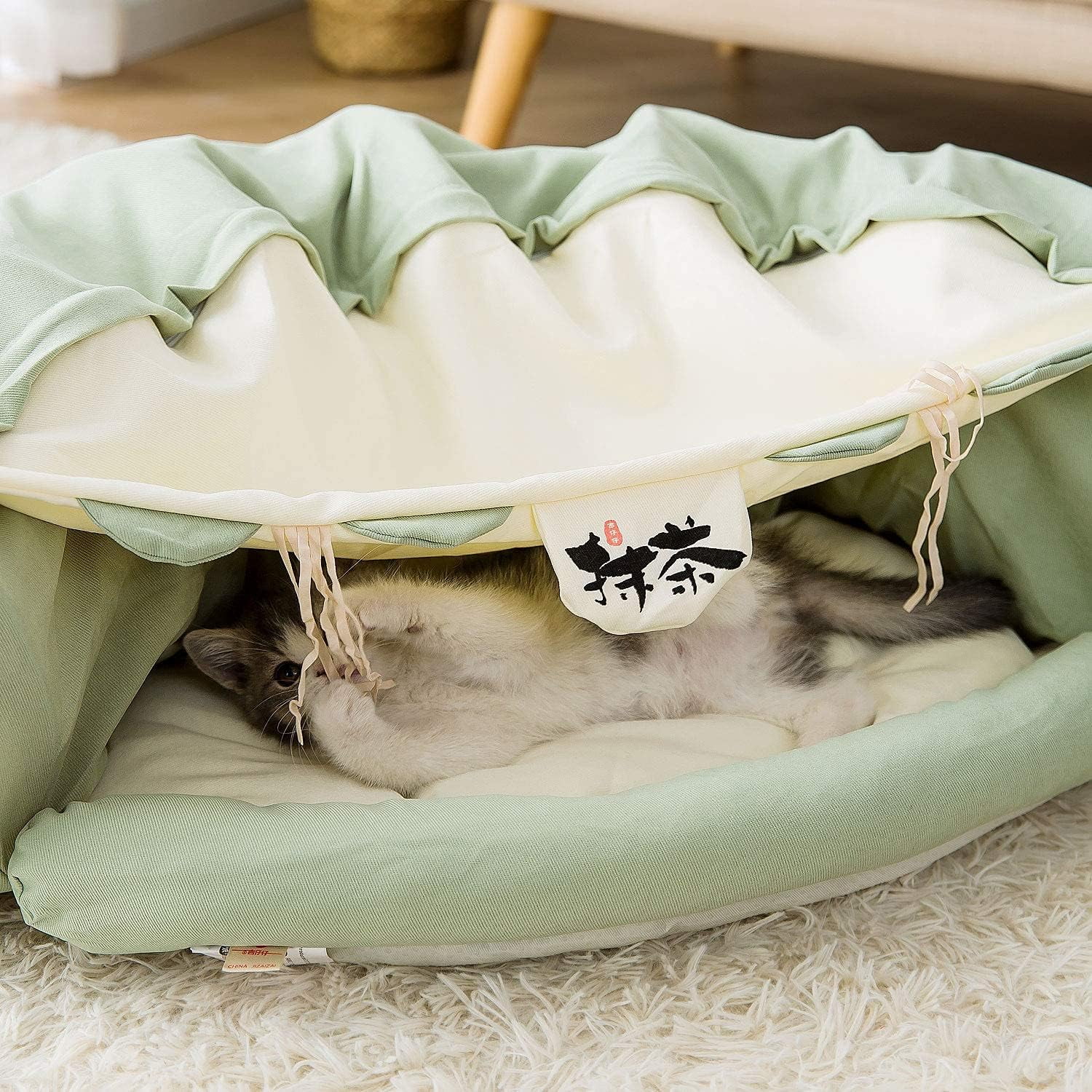 Tunnel for Indoor, Tube with Collapsible Washable Bed,Cat Bed for Small Medium Large cat.(Matcha)