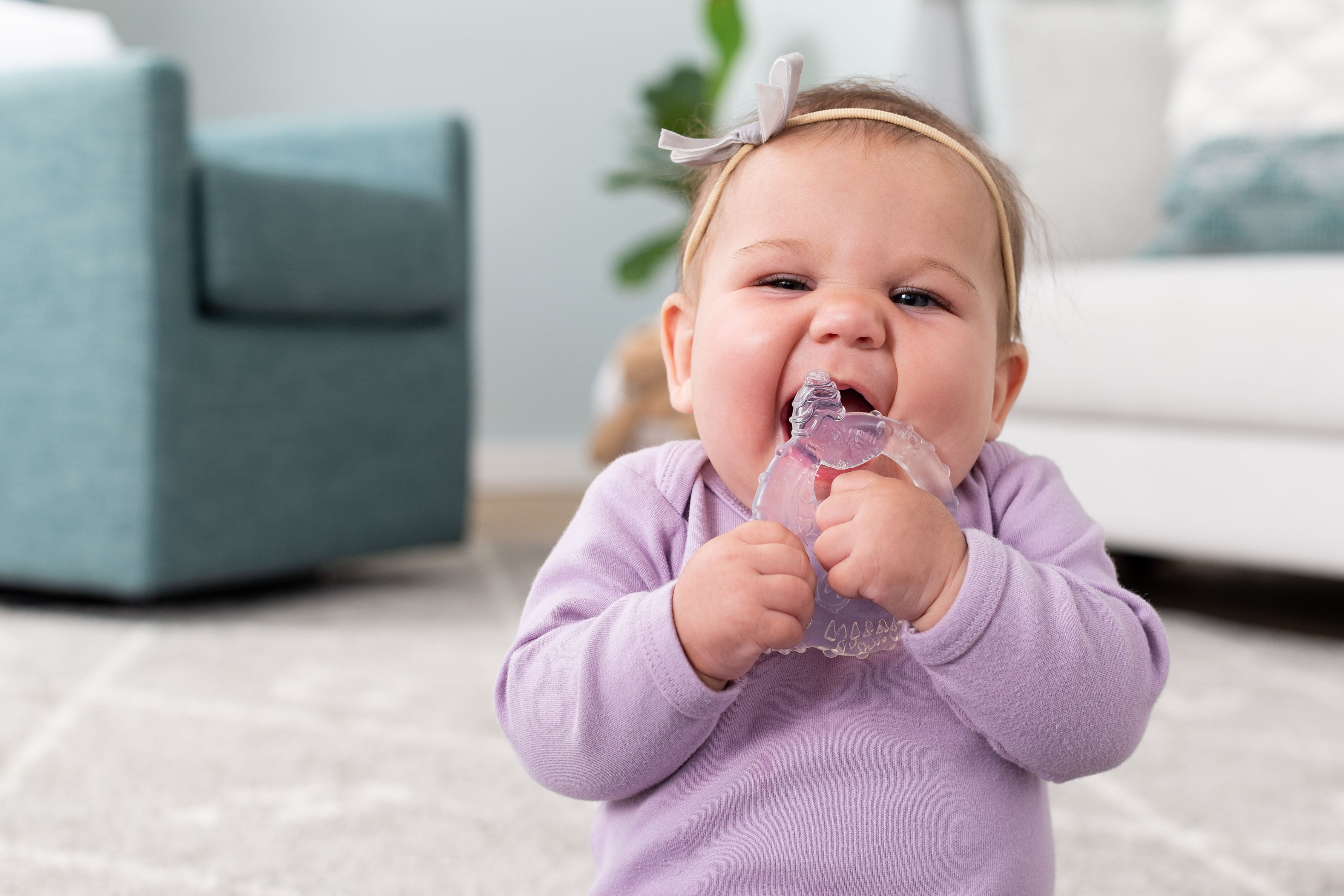 infantino water teether recall