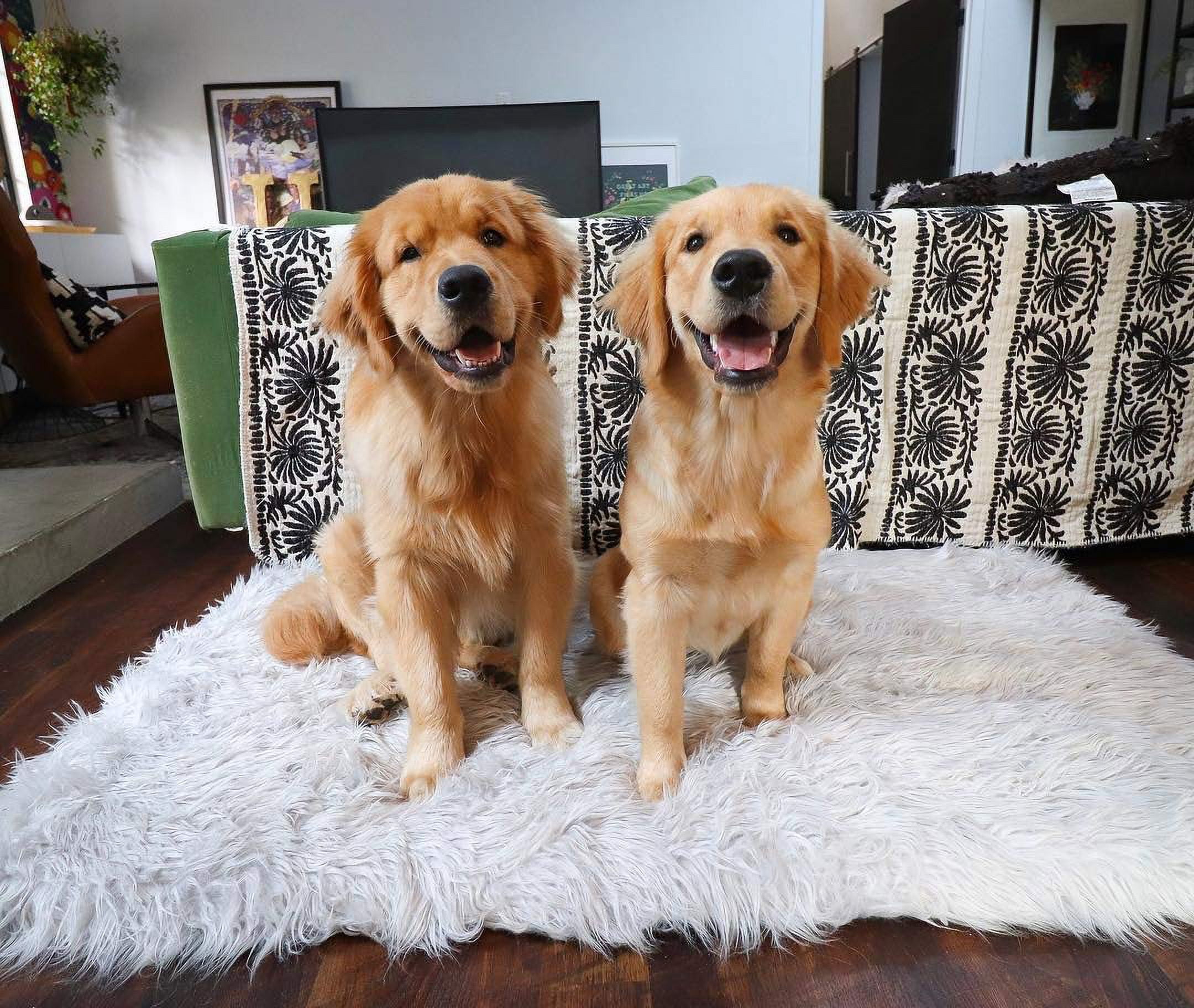 Paw Brands Dog Bed Faux Fur Memory Foam Pet Bed Gray Rectangle 40L X 25W inches