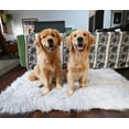 thumbnail image 3 of Paw Brands Dog Bed Faux Fur Memory Foam Pet Bed Gray Rectangle 40L X 25W inches, 3 of 6