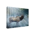 thumbnail image 2 of Trademark Fine Art 'Elk Journey III' Canvas Art by B. Lynnsy, 2 of 4