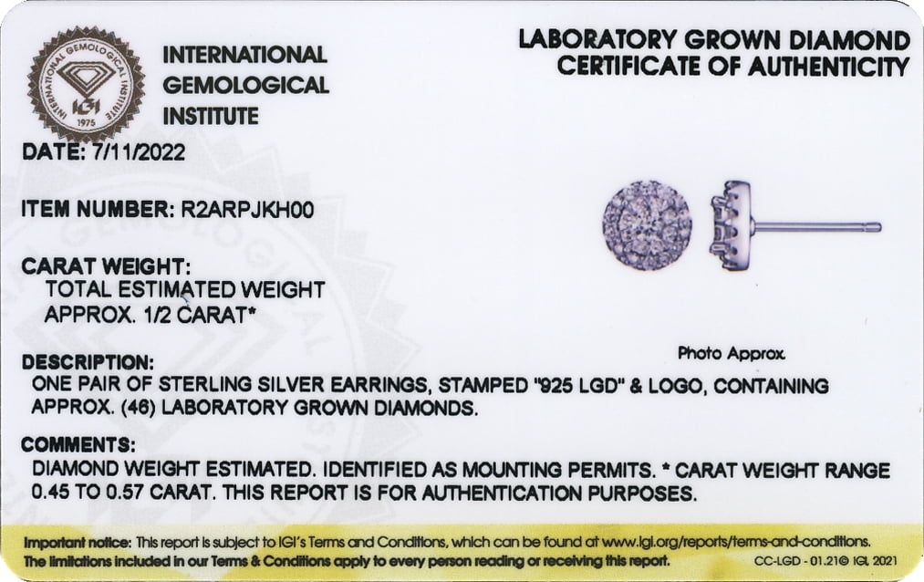 Forever Facets 1/2 CT TW Lab Grown Diamond Earrings in Platinum over Sterling Silver, Adult Female