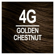Naturtint 4G Golden Chestnut Permanent Hair Color, 1 Pack (Packaging May Vary)