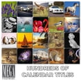 thumbnail image 7 of MegaCalendars Son-in-Law Birthday Card, Heartfelt Greeting Card for Him, 5.3 x 8 with Envelope, 7 of 7