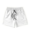 thumbnail image 4 of Havenre Men's Swim Trunk Swimwear Bathing Suit Swimsuit Board Beach Sport Short Lightweight Casual Drawstring Elasti Waist Athletic Shorts White L, 4 of 4