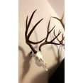 thumbnail image 6 of Buck Bracket - European Deer Skull Mount Hanger by Skull Bracket, Bronze, 6 of 8