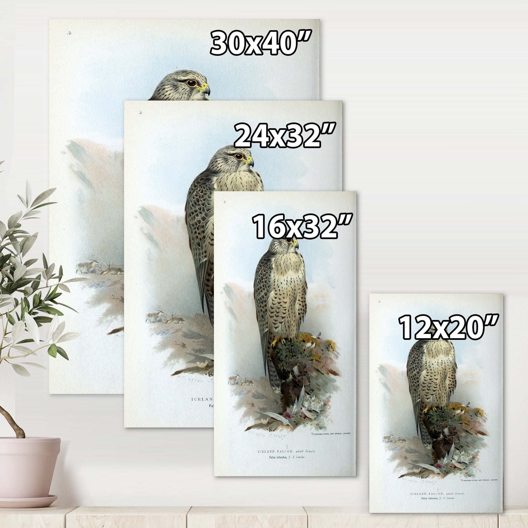 Designart ' Ancient Bird Life V ' Traditional Canvas Wall Art Print