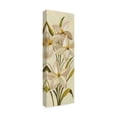 thumbnail image 2 of Silvia Vassileva 'Elegant White Florals II Crop' Canvas Art, 2 of 3