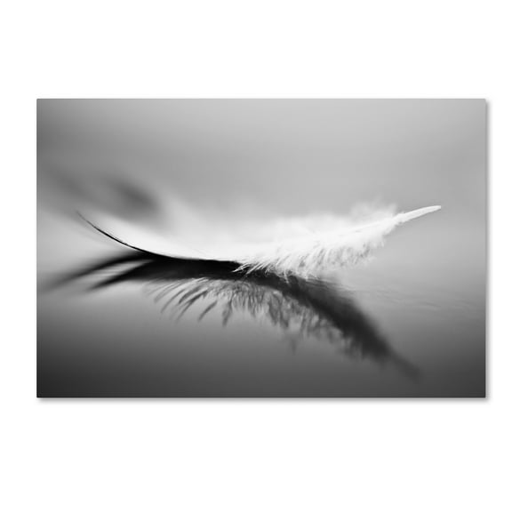 Trademark Fine Art 'White' Canvas Art by Olinda Coutinho