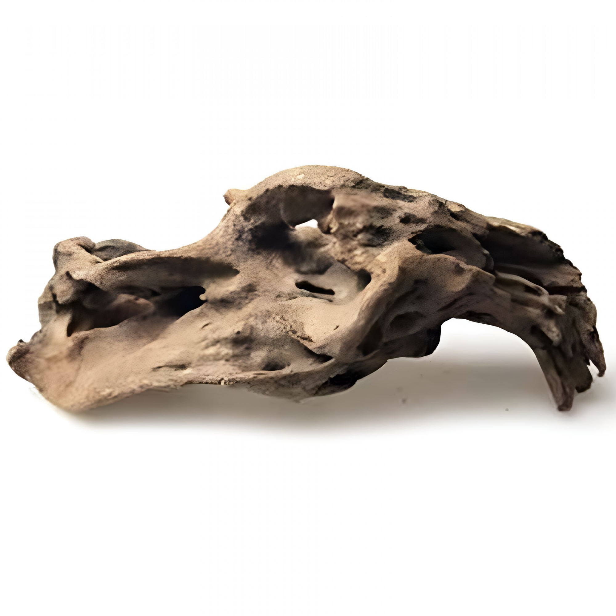 ACDANC Large Natural Driftwood Branches Reptiles Aquarium Fish Tank Decoration Cave Hideout Wood Decor