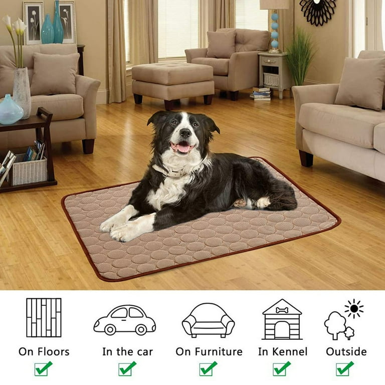 Dog blanket for discount outside