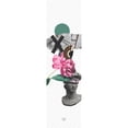 thumbnail image 5 of Patineta Tipo Penny Profesional Musa Madera Maple Musa Blanco (Llantas rosas/Trucks blancos), 5 of 5