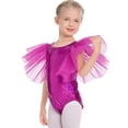 thumbnail image 2 of IBTOM CASTLE Shiny Metallic Ballet Leotards for Girls Toddler Ruffle Tulle Gymnastics Leotard Kids Halloween Dance Dress up 3-4 Years Hot Pink, 2 of 8