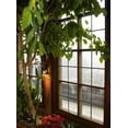 thumbnail image 2 of Fenster Wall Mural by Wallmonkeys Peel and Stick Graphic (36 in H x 27 in W) WM158543, 2 of 4