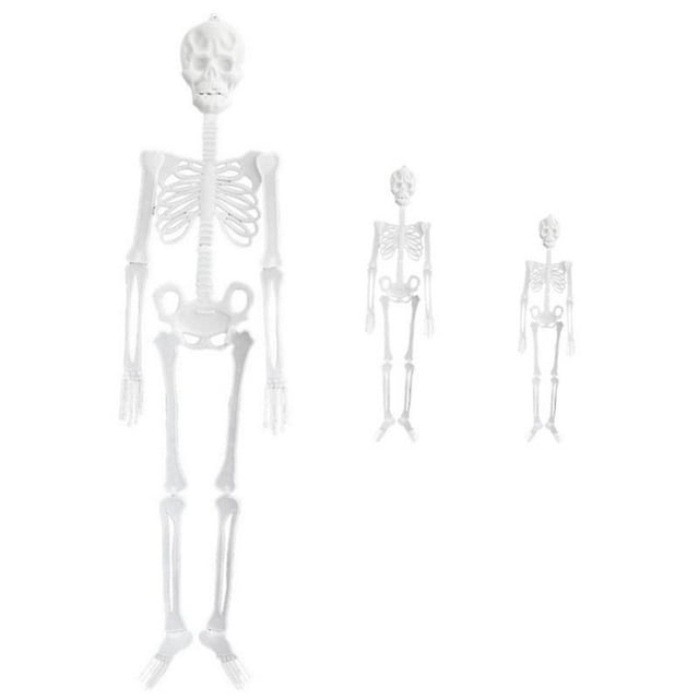 3 piezas esqueleto de Halloween para decoración de Halloween