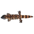 thumbnail image 3 of Texas Toy Distribution - Chameleon Blue-Green Plush Reptile 12" Stuffed Animal, 3 of 4