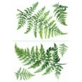 thumbnail image 6 of Watercolor Fern Peel and Stick Giant Wall Decals, 6 of 6