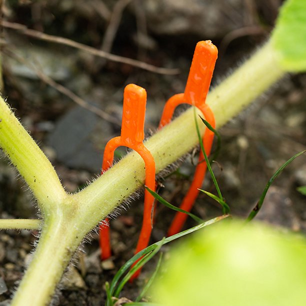unbranded 200Ud Sujetadores De Plásticos Para Jardín Fijación De Plantas En