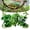 Reptile Plants-e, variant on 5 Pcs Reptile Plants & Habitat Decor Kit - 3 Artificial Plants & Large 5ft Jungle Vine Branch, Amphibian Habitat Hideout Tank Decorations fit Crested Gecko Leopard Lizard Chameleon Ball Python Frog