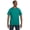 Black, variant on Mens 6.1 oz. Tagless T-Shirt 5250T (10 PACK)