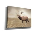 thumbnail image 2 of Epic Graffiti 'Elk in the Field' by Lori Deiter, Canvas Wall Art, 54"x40", 2 of 2