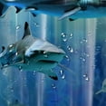 thumbnail image 5 of Fenyluxe 3D Shark Shower Curtain, Funny Kids Ocean Animal Fish, Blue Fantasy Underwater World, Polyester Fabric Bathroom Decor 36x72, 5 of 7