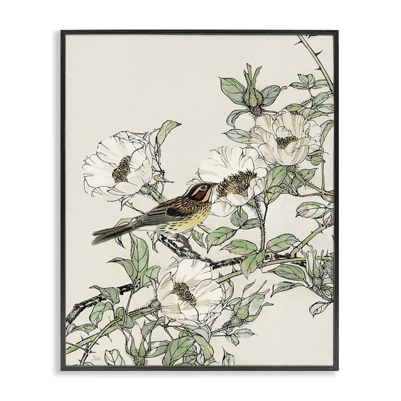 Stupell Industries Traditional Delicate Bird & Blossoms Black Framed Giclee Art, 16 x 20, by Nan