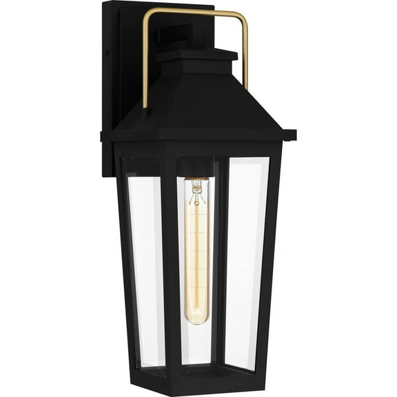 Quoizel Buckley 1-Light Matte Black Outdoor Wall Lantern