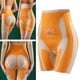 thumbnail image 5 of Fajas glúteos, bragas con cintura alta para mujer Faja entrenamiento cintura posparto Soledad Pantalones cortos sin costuras, 5 of 10