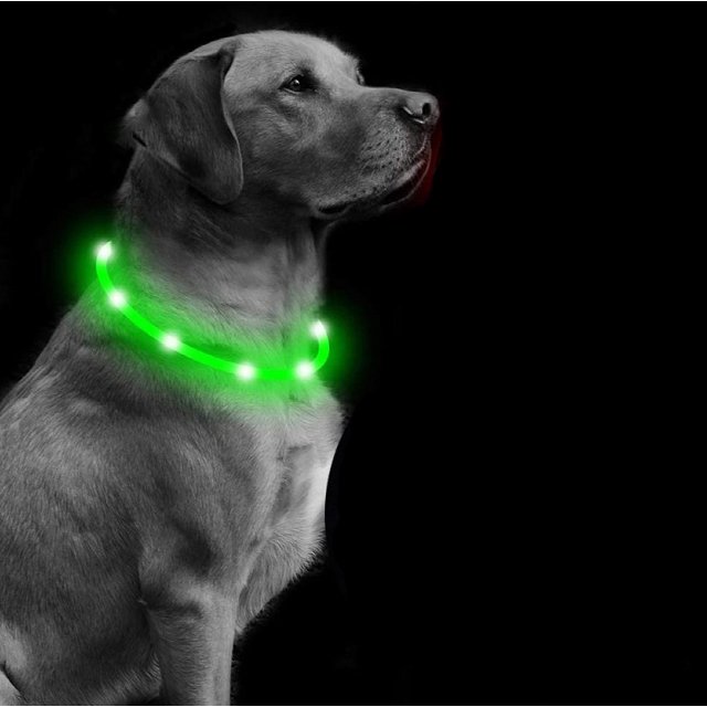 1 collar de perro con luz LED recargable y de longitud ajustable, collar de perro con luz con 3 modos de iluminación, collar de luz impermeable para perro gato pequeño mediano grande verde