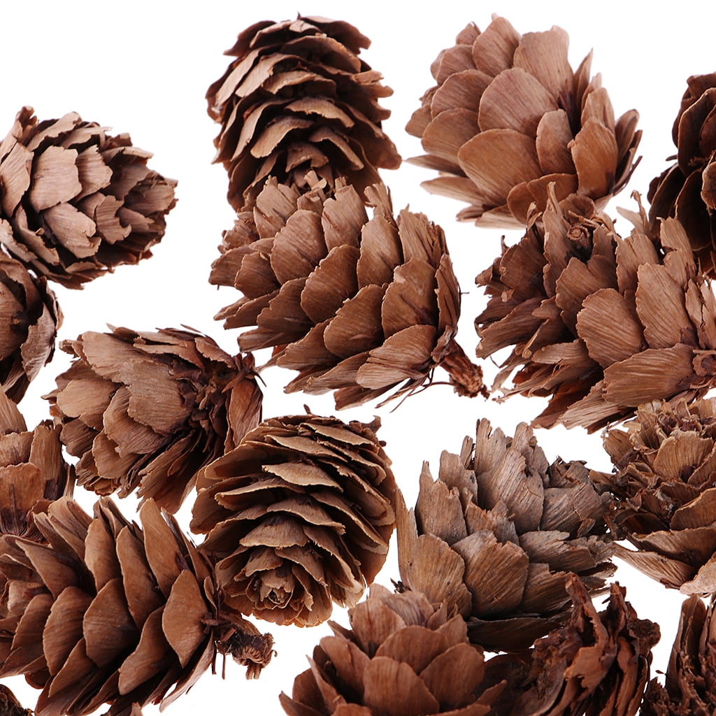 180Pc Natural Dried Pine Cones Mini Size for Vase Filler Crafting Decoration 
