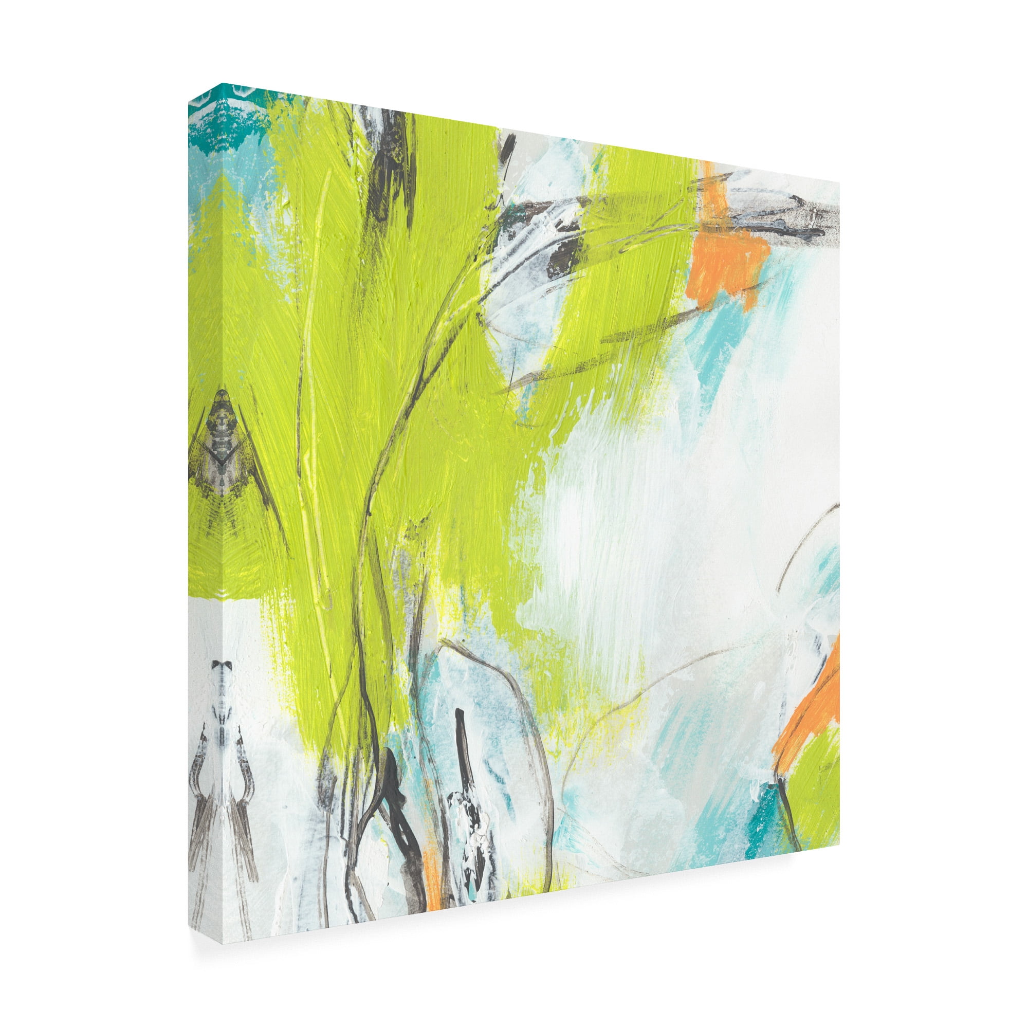 Trademark Fine Art 'Piquant I' Canvas Art by June Erica Vess